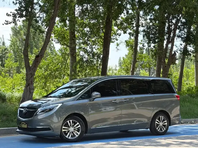 Buick GL8, 2019