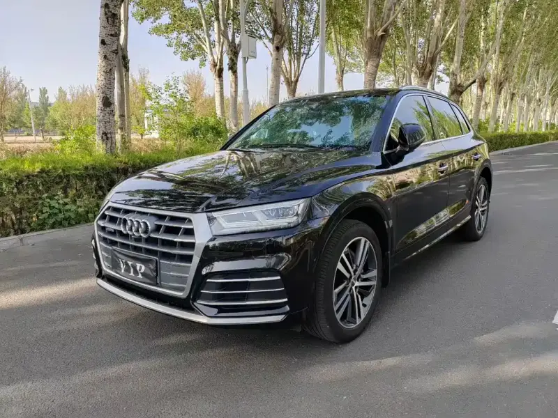 Audi Q5L, 2021