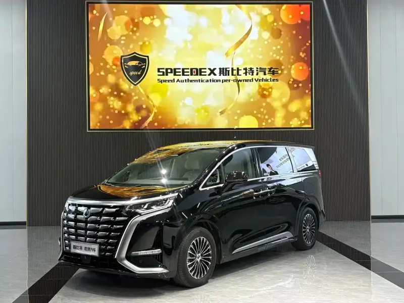 Denza D9, 2025