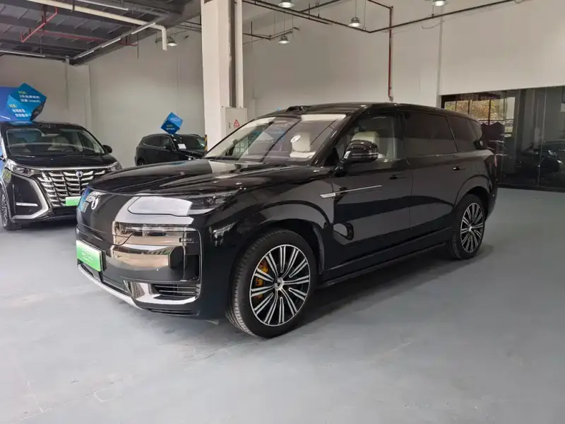 Denza N9, 2025