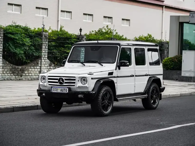 Mercedes-Benz G-Class, 2016 — фото 1