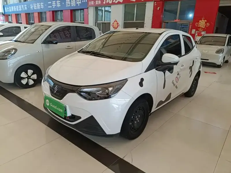 JMEV EV2, 2024