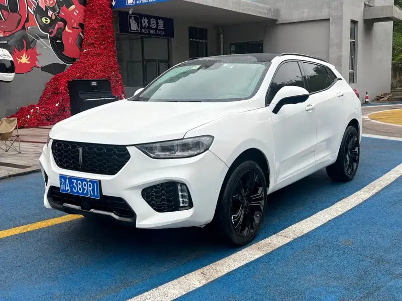 Wey VV5, 2017