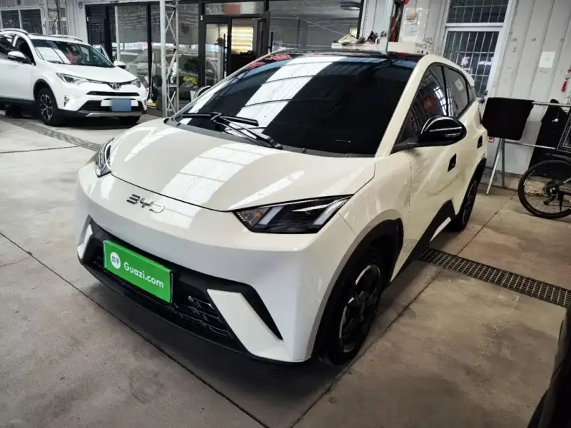 BYD Seagull, 2024