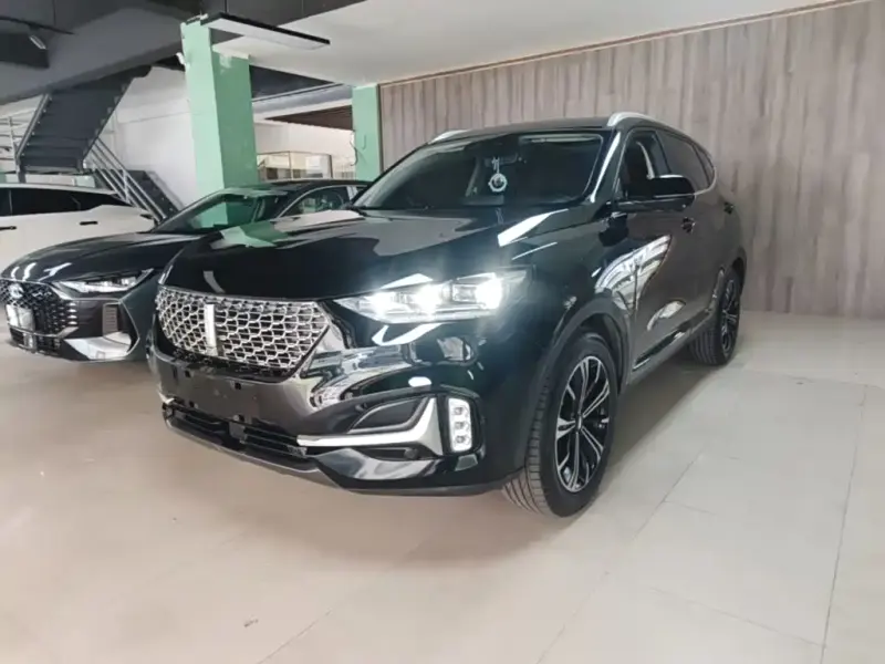 Wey VV6, 2020