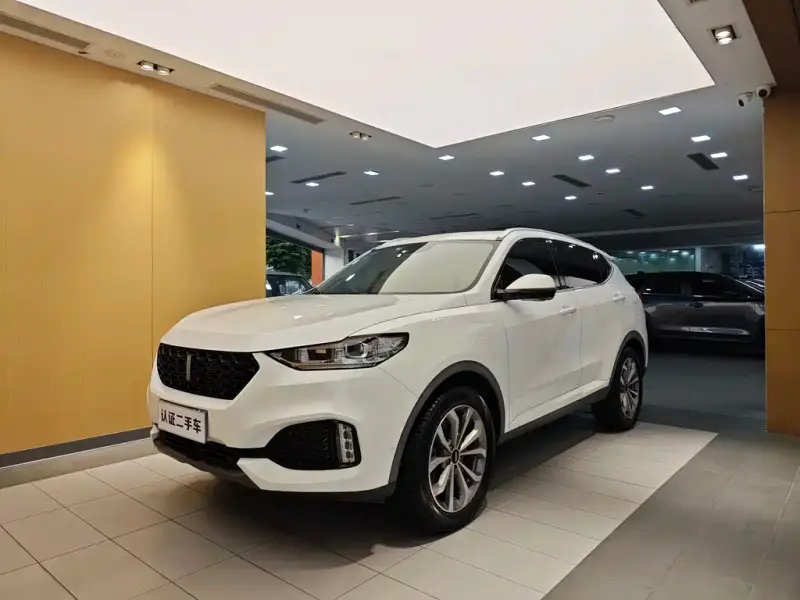 Wey VV6, 2019