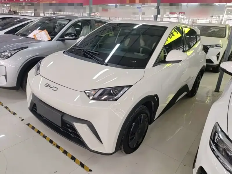 BYD Seagull, 2025