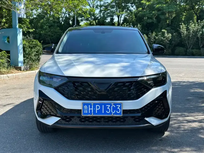 Jetta VS5, 2023
