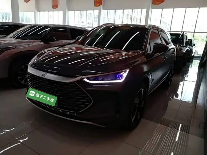 BYD Tang New Energy, 2024