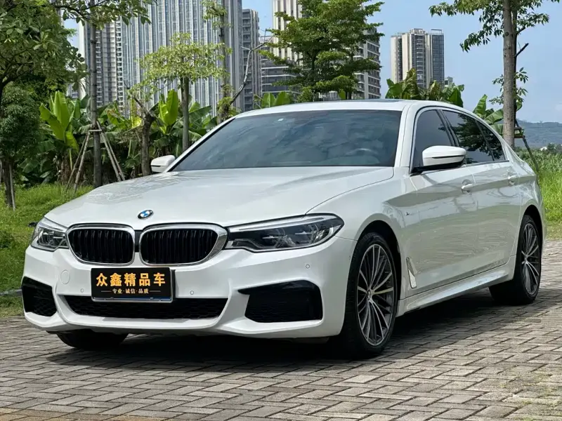 BMW 5 Series, 2020
