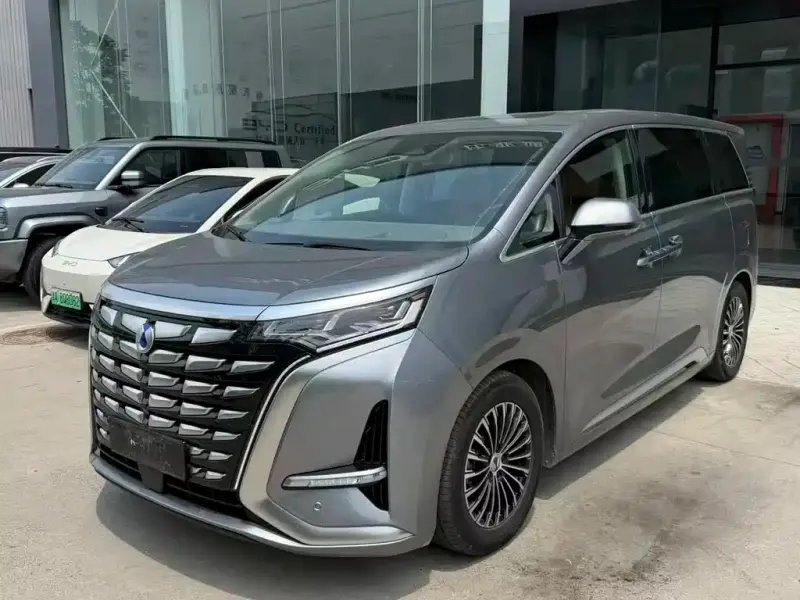 Denza D9, 2024