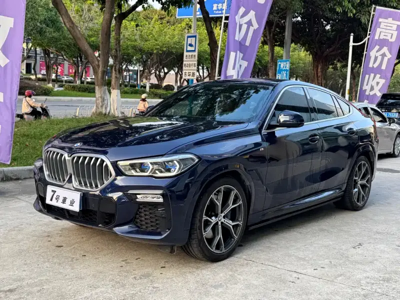BMW X6, 2021