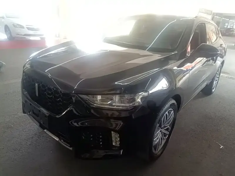 Wey VV5, 2018