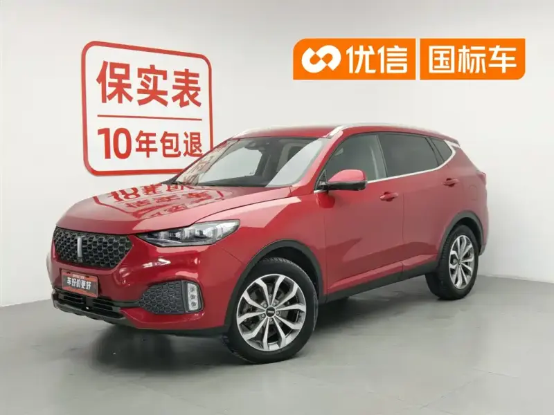 Wey VV6, 2019