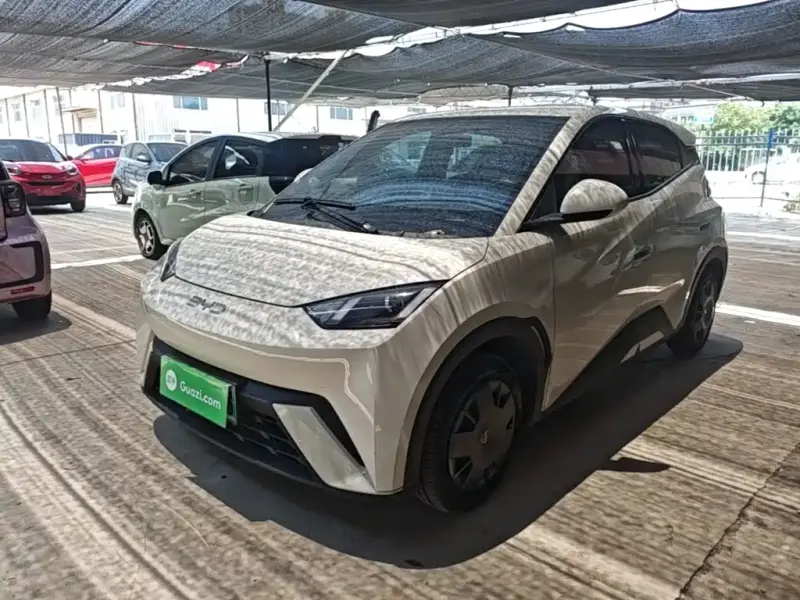 BYD Seagull, 2024