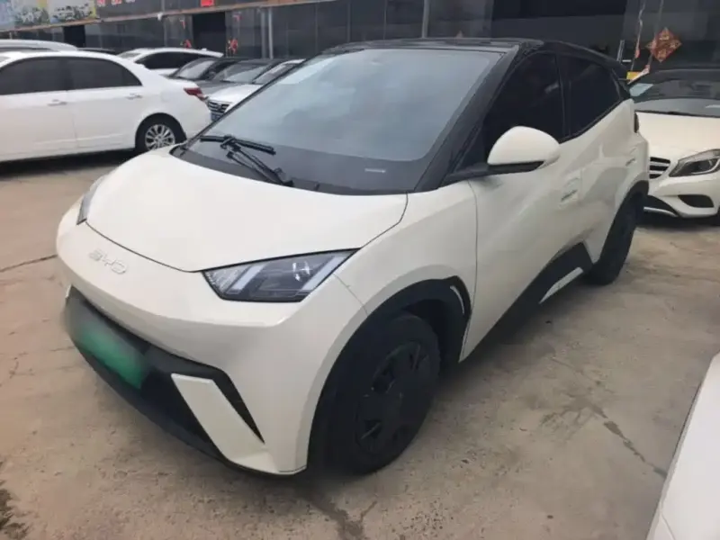 BYD Seagull, 2024