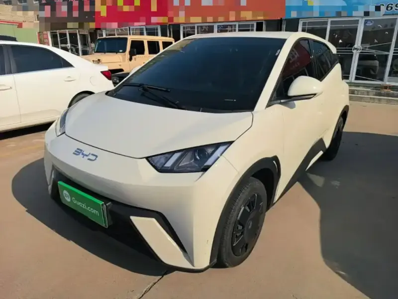 BYD Seagull, 2024
