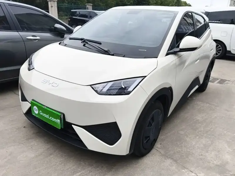 BYD Seagull, 2025