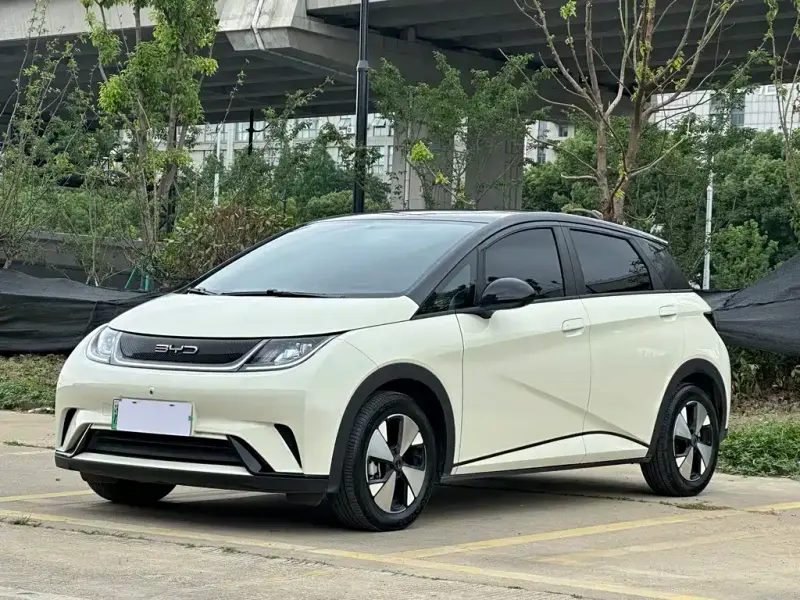 BYD Dolphin, 2023