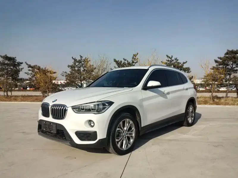 BMW X1, 2019 — фото 1