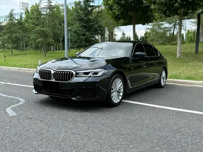 BMW 5 Series, 2019