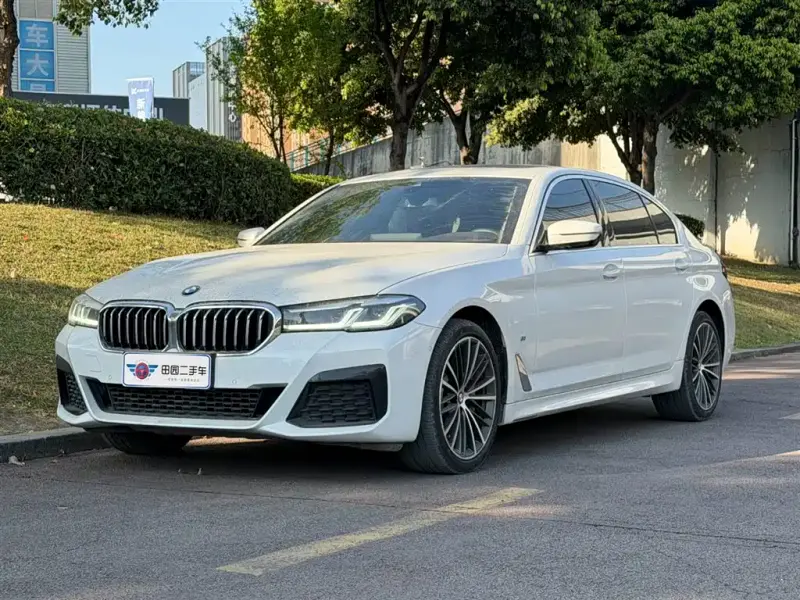 BMW 5 Series, 2020