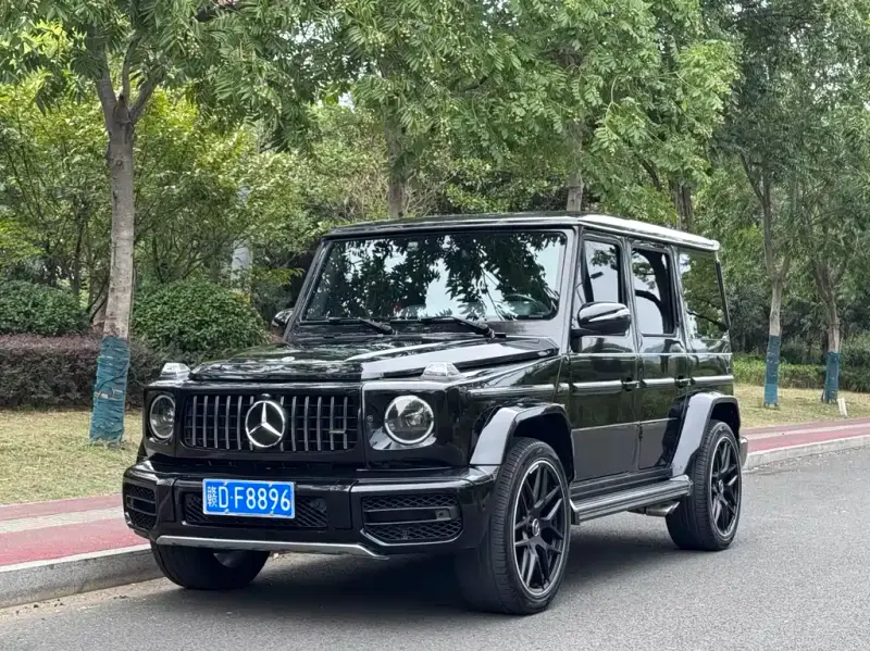 Mercedes-Benz G-Class, 2011 — фото 1