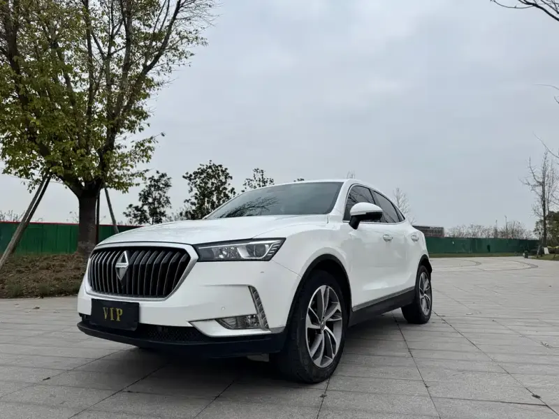 Borgward BX6, 2019 — фото 1