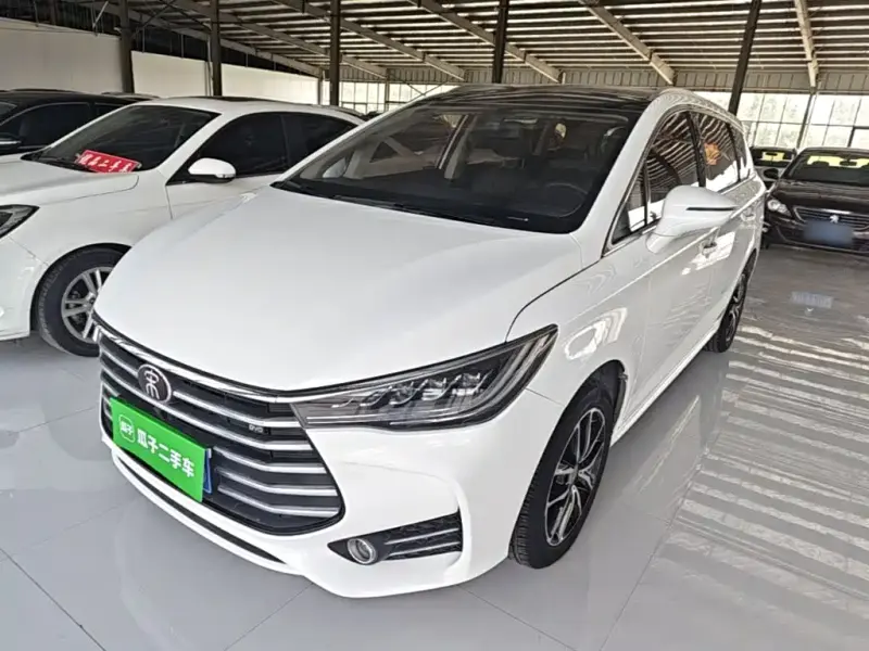 BYD MAX, 2018 — фото 1
