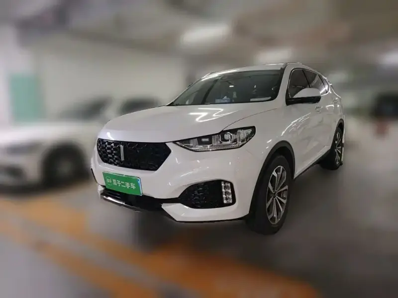 Wey VV6, 2019