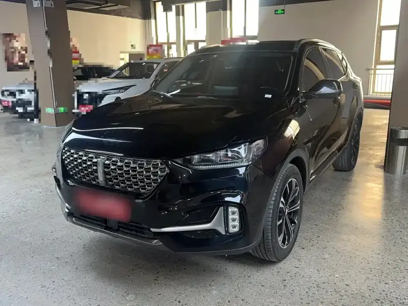 Wey VV6, 2021