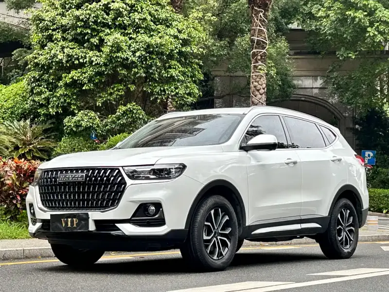 Haval H6, 2024 — фото 1