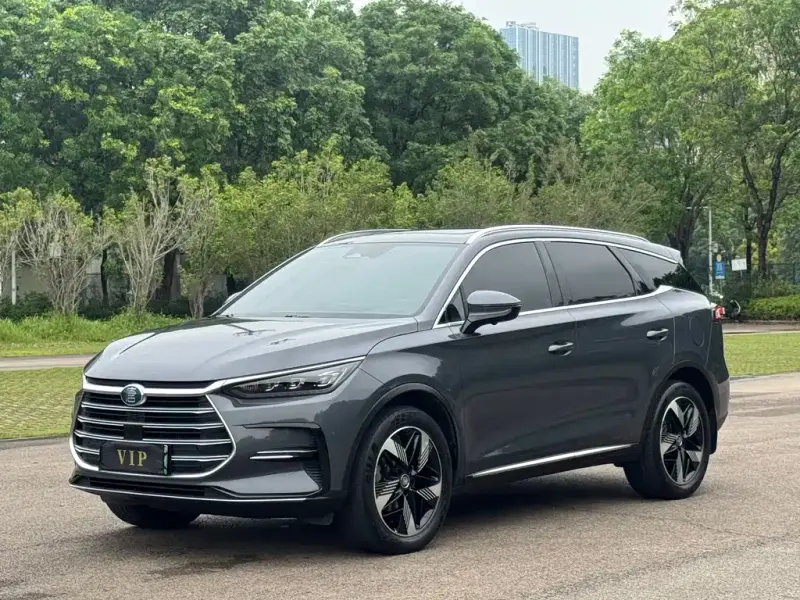 BYD Tang New Energy, 2023