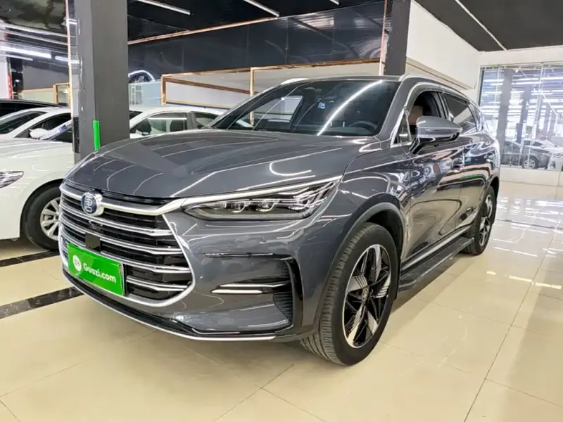 BYD Tang New Energy, 2024