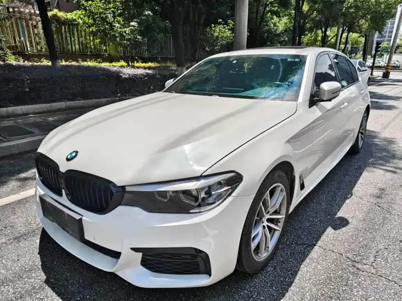BMW 5 Series, 2019