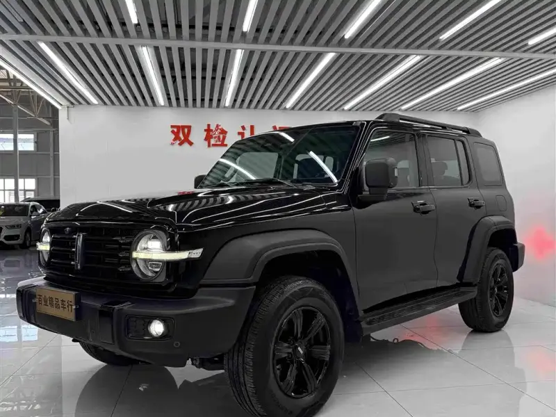 Tank 300, 2021