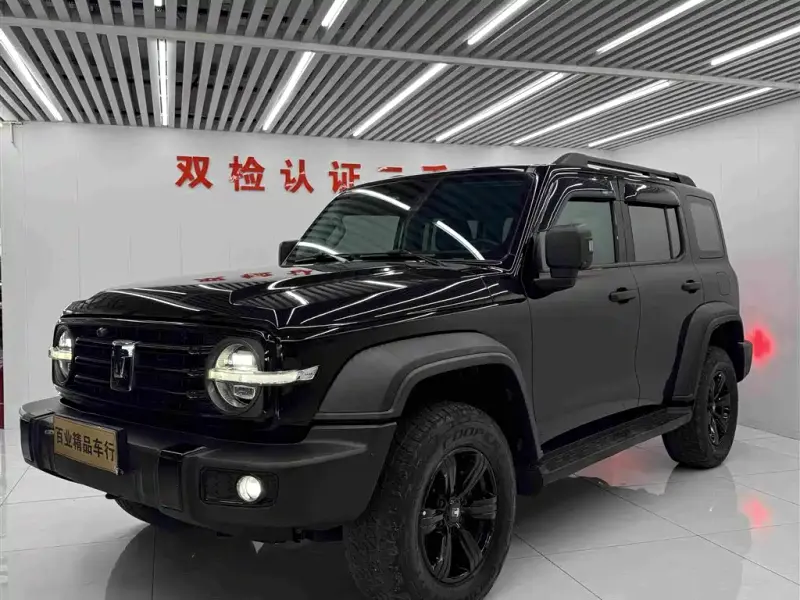 Tank 300, 2021