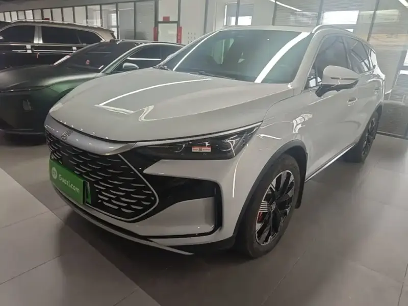 BYD Tang New Energy, 2023