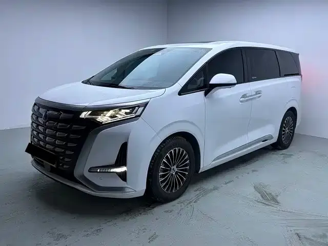 Denza D9, 2023