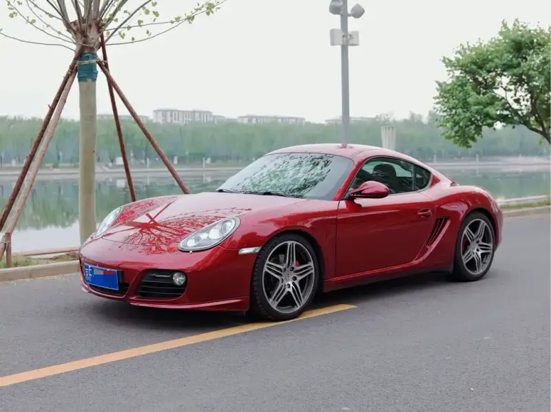 Porsche Cayman, 2010