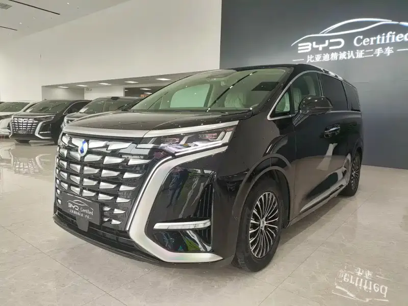 Denza D9, 2024