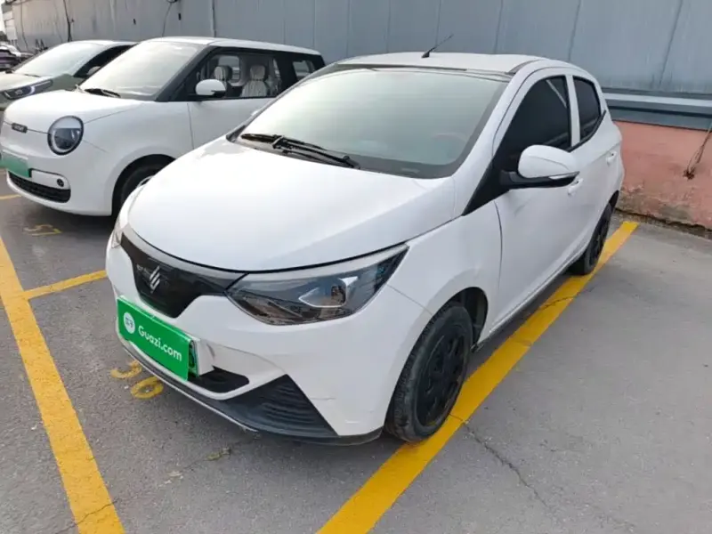 JMEV EV2, 2024