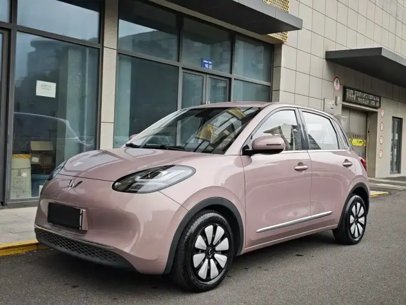 Wuling Bingo, 2023