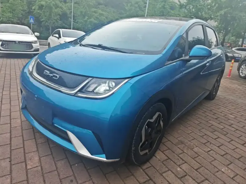 BYD Dolphin, 2022