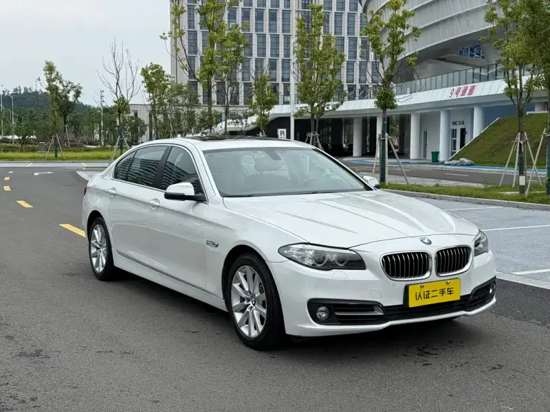 BMW 5 Series, 2014