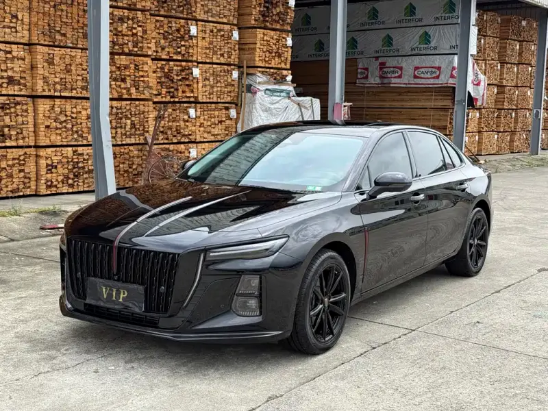 Hongqi H5, 2024