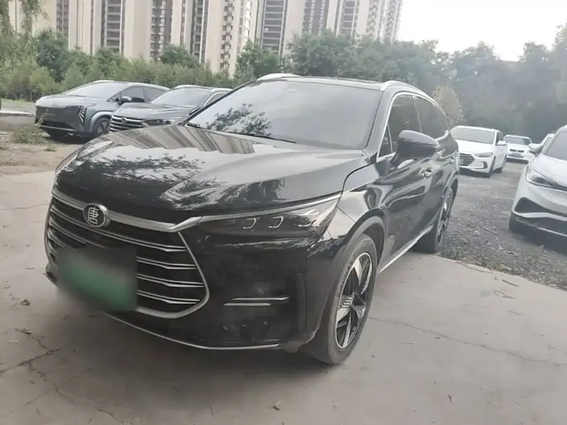 BYD Tang New Energy, 2024