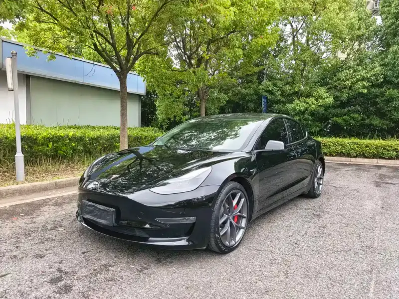 Tesla Model 3, 2021