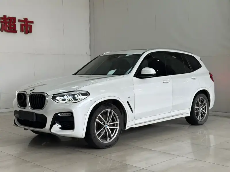 BMW X3, 2019 — фото 1