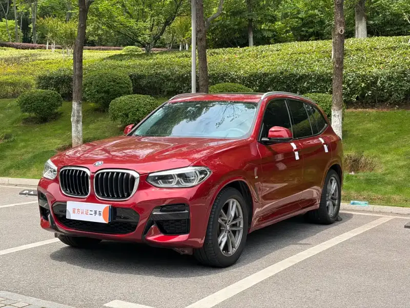 BMW X3, 2019 — фото 1